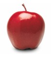 سیب قرمز - یک کیلو گرم