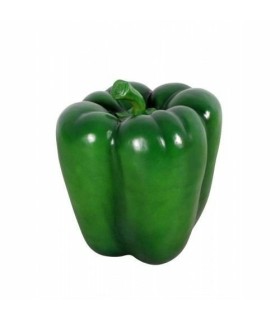 فلفل دلمه سبز