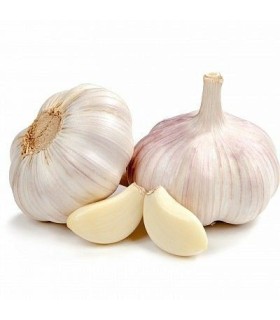 سیر خشک
