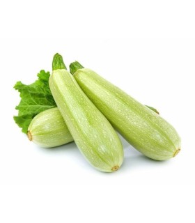 کدو سبز