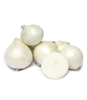 پیاز سفید