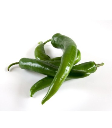 فلفل قلمی تند