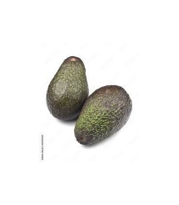 آووکادو لک دار  هر عدد