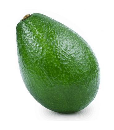 آووکادو سفت کنیا  10 عددی