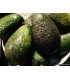 آووکادو لک دار  هر عدد