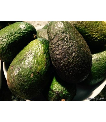 آووکادو لک دار  هر عدد
