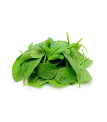 بی بی اسفناج ( 500 گرم )