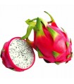 دراگون سفید رسیده