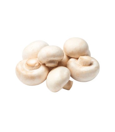 قارچ سفید 500 گرم