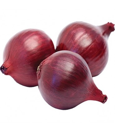 پیاز قرمز متوسط 500 گرم