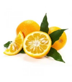 نارنج یک کیلوگرم