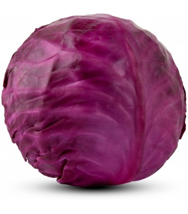 کلم قرمز هر عدد