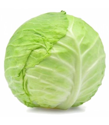 کلم سفید هر عدد