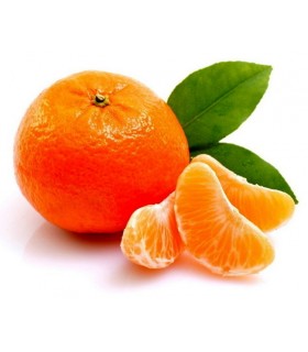 نارنگی یک کیلو گرم