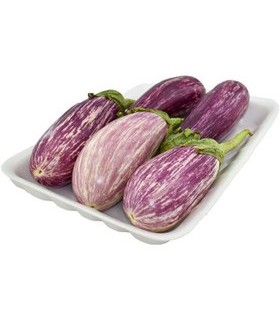 بادمجان لامپی هلندی