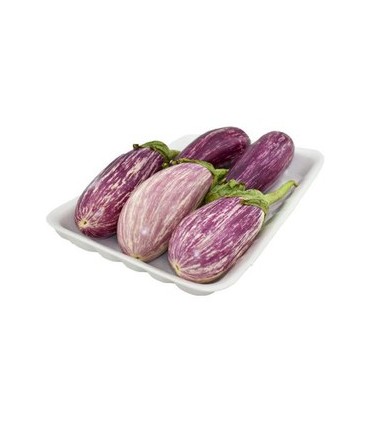 بادمجان لامپی هلندی