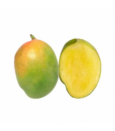 انبه برزیلی 500 گرم