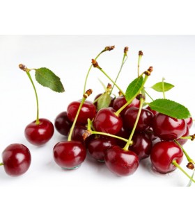 آلبالو رسمی 3 کیلویی