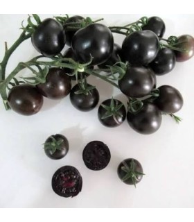 گوجه گیلاسی سیاه 300 گرم