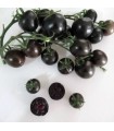 گوجه گیلاسی سیاه 300 گرم