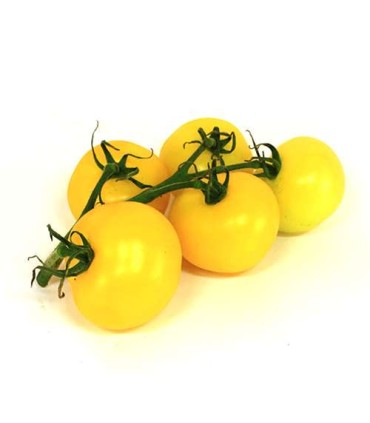 گوجه گیلاسی زرد 300 گرم